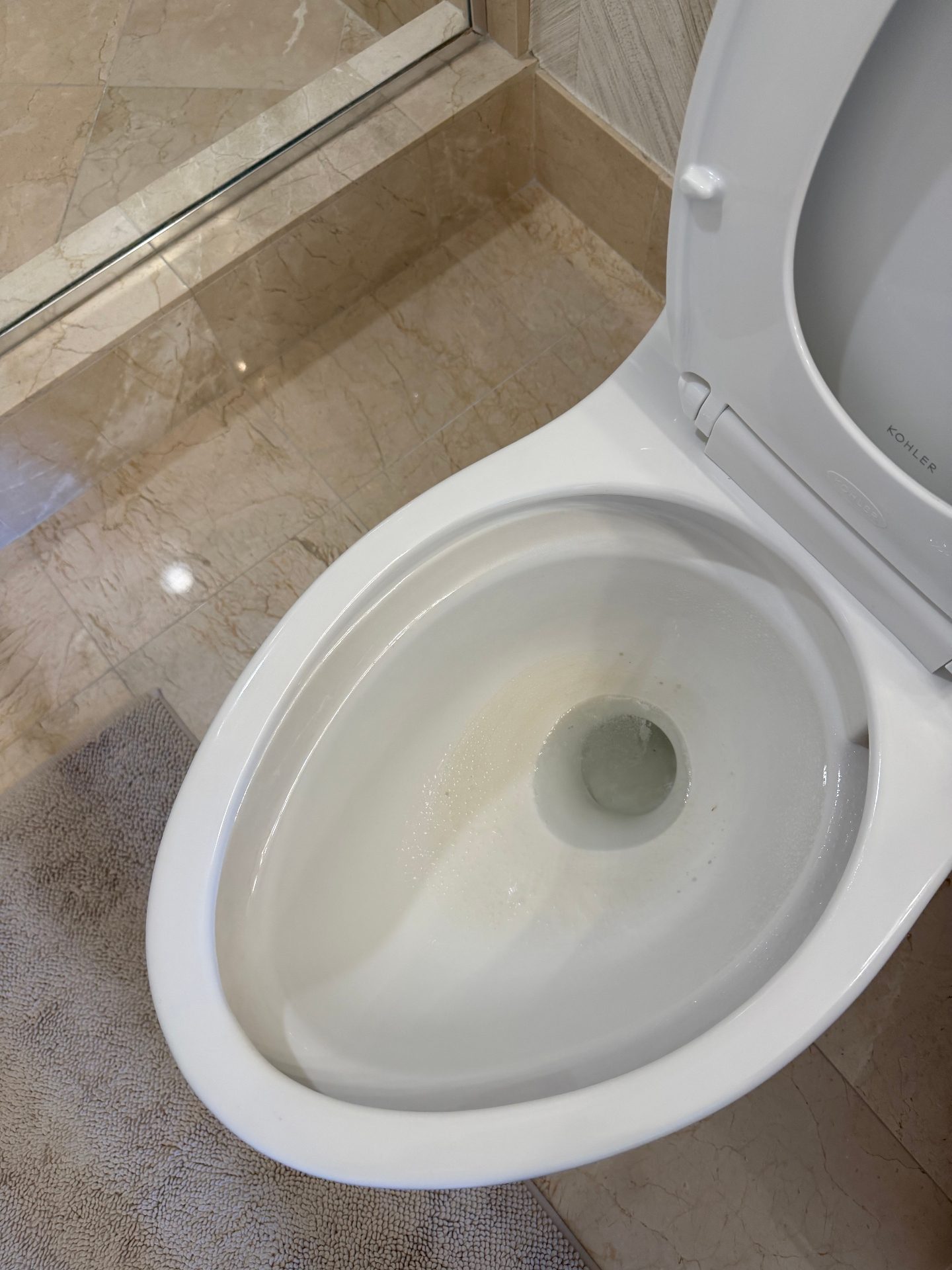 Toilet bowl with mineral staining before being scrubbed and sanitized